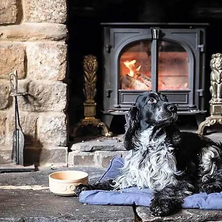 فندق The Golden Lion At Settle سكيبتون